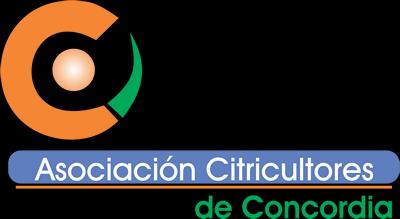 Elección de nuevas autoridades