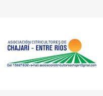 Elección de nuevas autoridades 