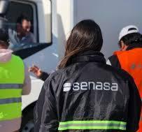 Se moderniza el sistema de acreditación del Documento de Tránsito Vegetal electrónico