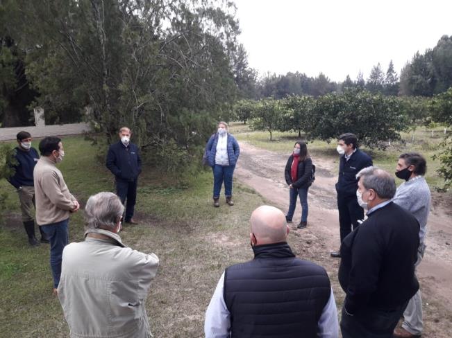 Fortalecimiento en la Lucha contra el HLB en Entre Ríos