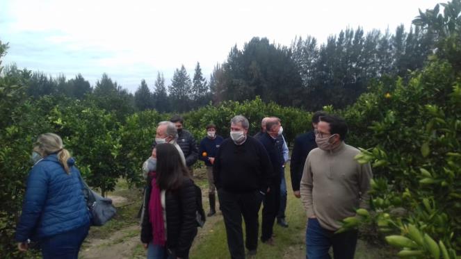 Fortalecimiento en la Lucha contra el HLB en Entre Ríos